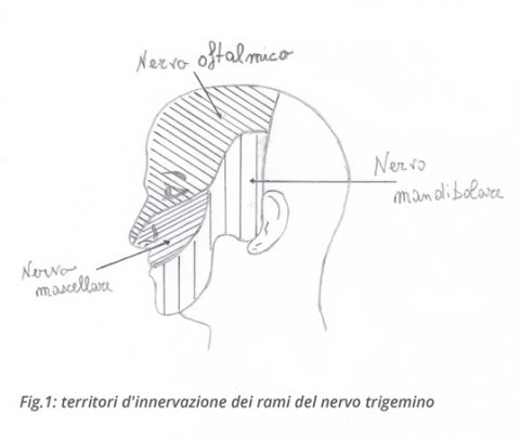 terapie_integrate_nevralgia_trigemino_1